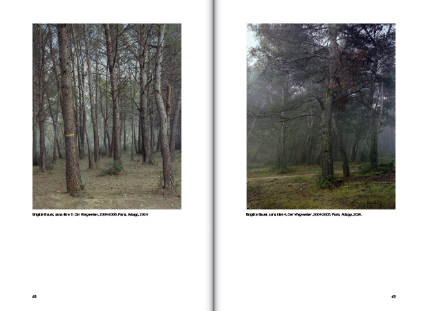 Quand la photographie pense la forêt